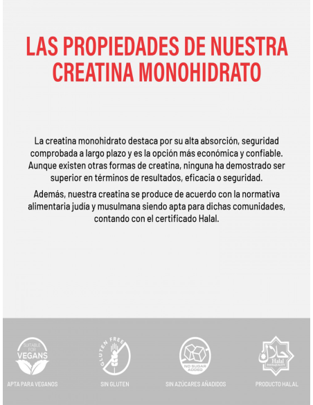 CREATINE MONOHYDRATE | 200 gr - 66 tomas