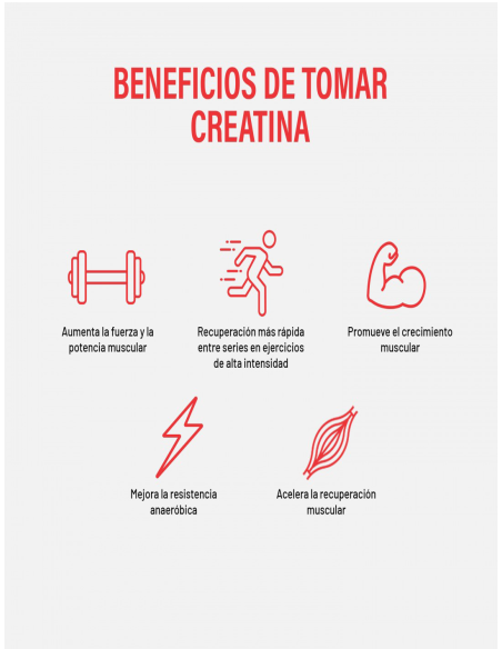 CREATINE MONOHYDRATE | 200 gr - 66 tomas