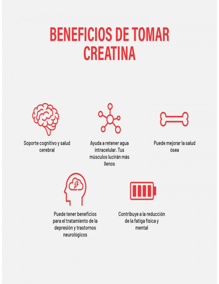 CREATINE MONOHYDRATE | 200 gr - 66 tomas