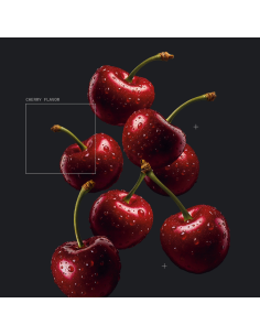 Creatina monohidrato Creapure® 300 g - 100 servicios 2