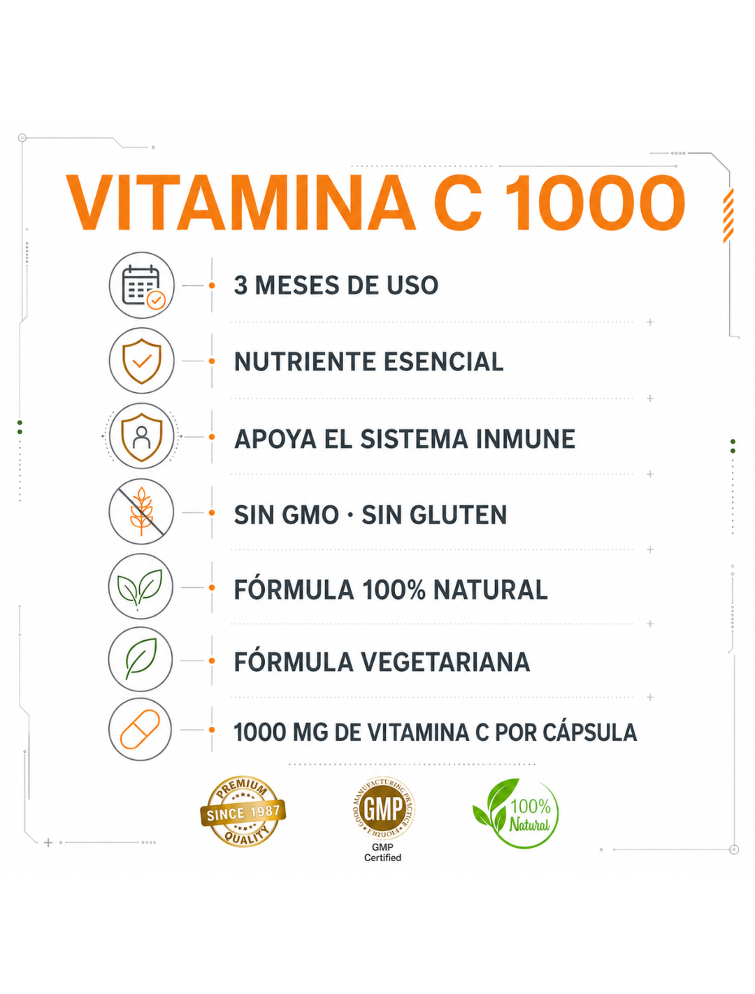 Vitamin C 1000 - 90 cápsulas