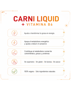 Carni Liquid con Vitamina B6 - 500 ml - Orange 2